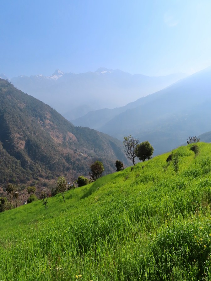 266F00AB-B8EA-45FD-8C6D-CAAF305D72DA