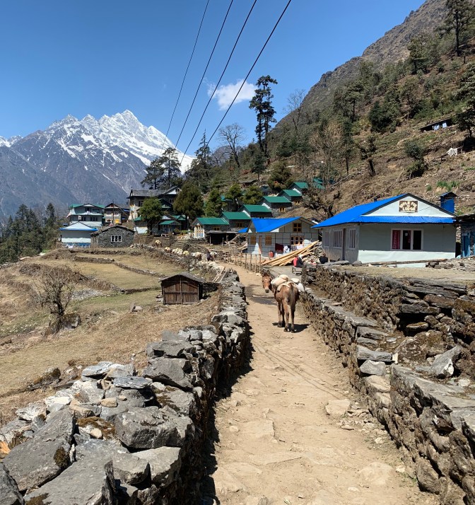 70BE4EA3-5900-4EC5-9B1D-7684FD031FE4