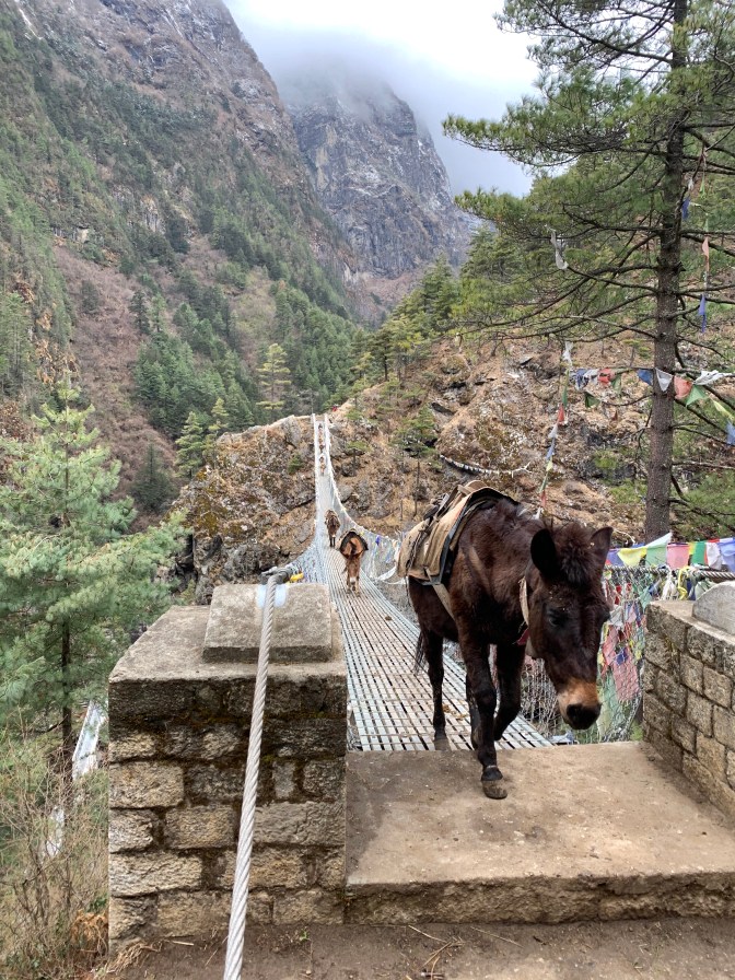 909D41E8-0D7E-4EB4-98E5-E5BE457CBC28