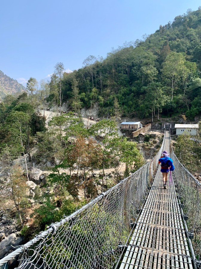 9DE45FC2-5BAB-4200-80C5-D4E1035EE1B2