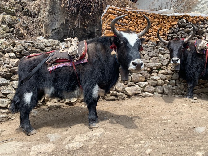 C58AD874-53B2-44C1-A43D-3B1C56AF7719