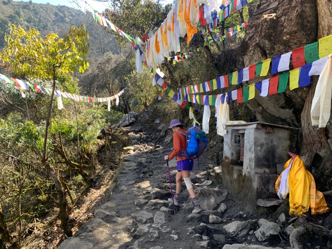 D65C784D-2796-481E-80A4-62925E6A44F0